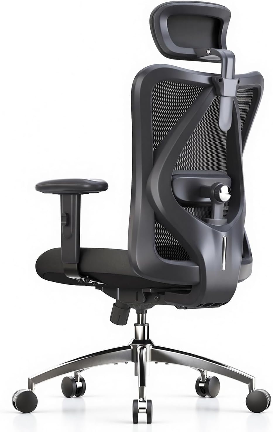 SIHOO M18 Ergonomic Office Chair with Headrest
